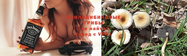 соль курить ск Новозыбков