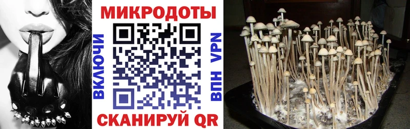 хочу наркоту Новопавловск Псилоцибиновые грибы MAGIC MUSHROOMS